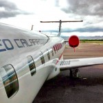 aerocalafia